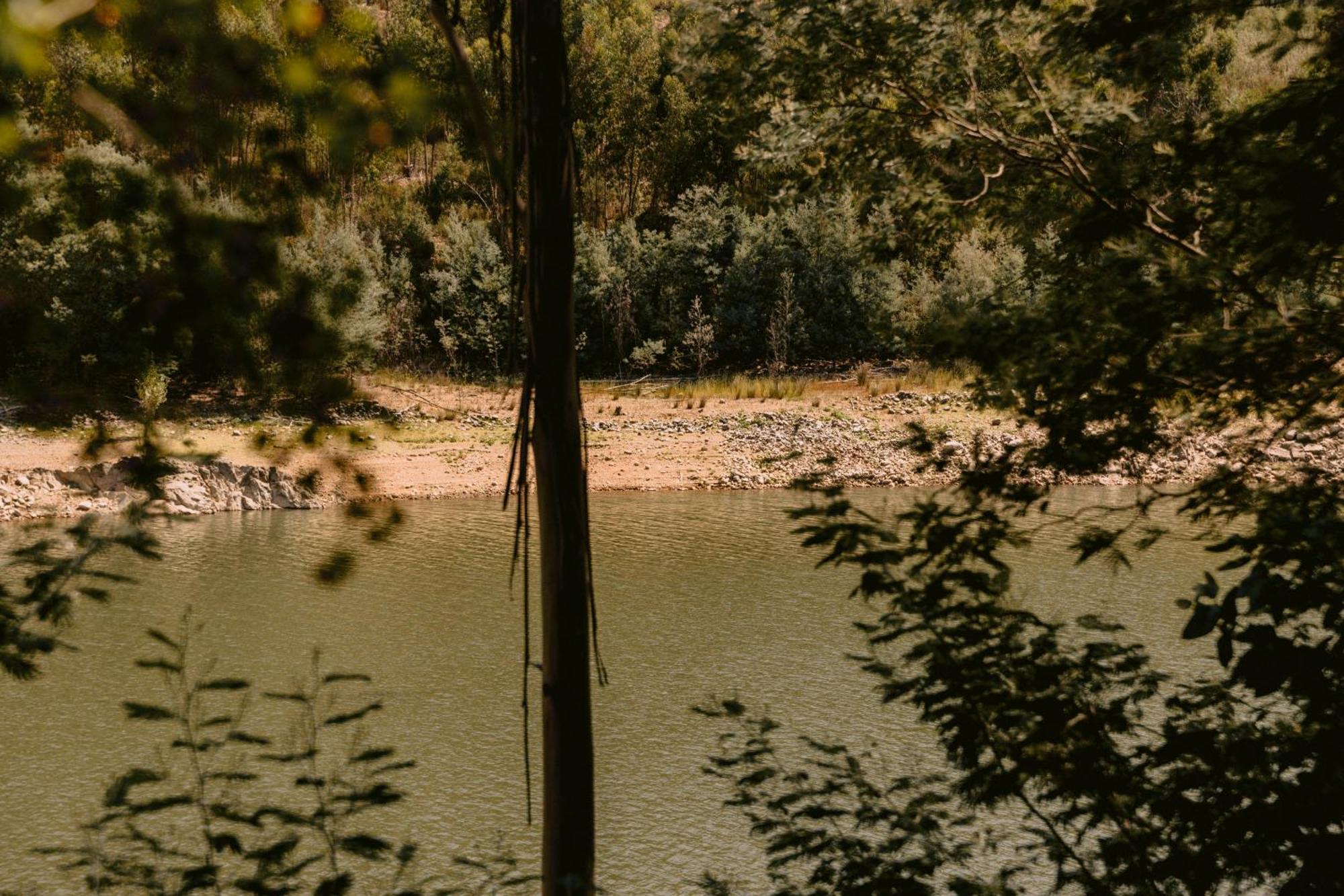 Vilas Da Matagosa Matagosinha エクステリア 写真